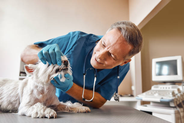 Best Same-Day Emergency Dentist in Georgetown, PA